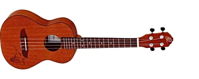 Immagine prodotto di Ukulele tenore Ortega RU5MM-TE