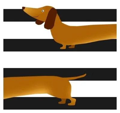 Produktbild von 20 Servietten Sausage Dog -  33x33cm