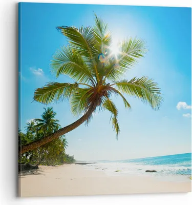 Produktbild von Bild auf Leinwand - Leinwandbild - Strand Palme Meer - 70x70cm - Wand Bild - Wanddeko - Wandbilder - Leinwanddruck - Bilder - Kunstdruck - Wanddekoration - Leinwand bilder - Wandkunst - AC70x70-3570