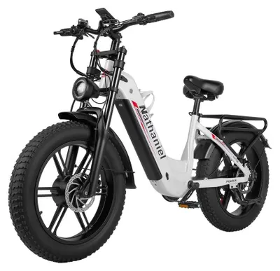 Image de SYR08 – VTT électrique / Vélo électrique – Batterie lithium 48V 20Ah – Moteur brushless 200–250W – Autonomie 31–60 km – Roues de 50 cm – Pour deux personnes – Blanc