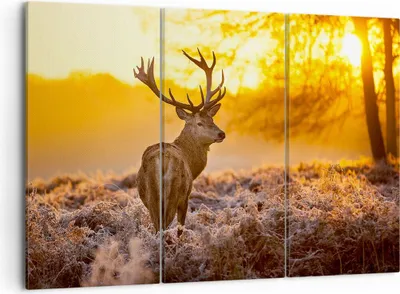 Produktbild von Bild auf Leinwand - Leinwandbild - Herbst landschaft natur blatt - 105x70cm - Wand Bild - Wanddeko - Leinwanddruck - Bilder - Kunstdruck - Wanddekoration - Leinwand bilder - Wandkunst - CE105x70-2552