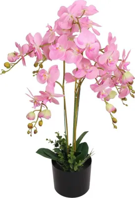 Image de Plante artificielle avec pot Orchidée 75 cm Rose