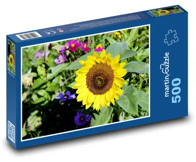 Obrázok produktu pre Puzzle 500 Žltý slnečnica na lúke - martinpuzzle