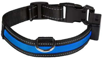 Immagine prodotto di colletto blu chiaro M
