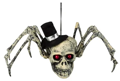 Produktbild von Halloween Deko Spinnenschädel | 15x24x10 cm