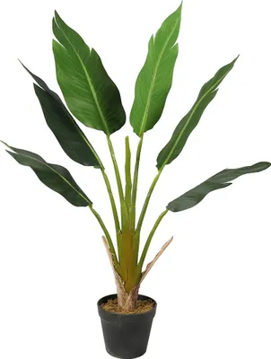 Immagine prodotto di Lykke pianta artificiale Strelitzia 90 cm