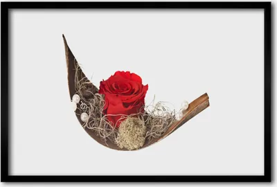 Produktbild von Bild 60x40 MDF-Rahmen Wandkunst Rose Blume Pflanze Natur