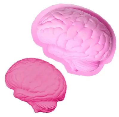 Produktbild von Silikonform Gehirn für Pudding, Gelee, Süßigkeiten 22x17x6cm