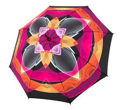 Image de doppler parapluie canne parapluie Fiber Flex AC Umbrella Camelia noir rose