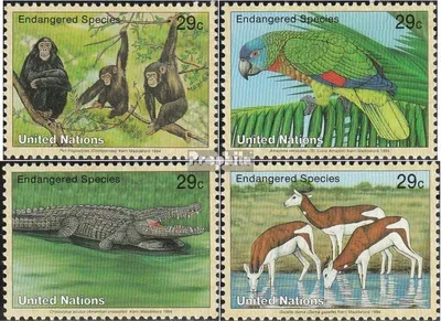 Produktbild von Briefmarken UNO - New York 1994 Mi 663-666 (kompl.Ausg.) gestempelt Gefährdete Tiere