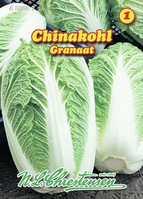 Produktbild von Chinakohl Granaat | Chinakohlsamen von N.L. Chrestensen