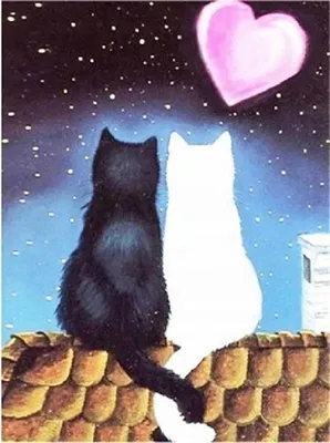Immagine prodotto di Mosaico Diamantato "Gatti Innamorati", Kit Creativo, 30X40 Cm
