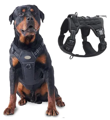 Produktbild von Anti-Zieh Hundegeschirr für mittelgroße und große Hunde, Schwarz