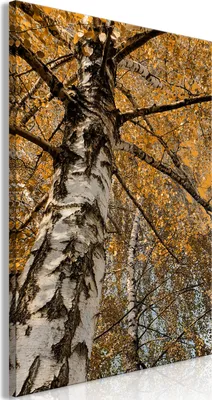Produktbild von Italienischer Leinwand Leinwandbild - Autumn Colours (1 Part) Vertical 40x60 cm Landschaften b-A-0708-b-a