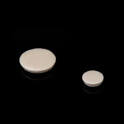 Image de 17 tampons de clarinette de rechange pour instrument à vent exquis