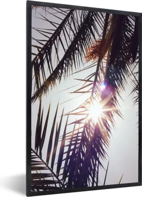 Produktbild von MuchoWow® Gerahmtes Poster Palmwedel - Sonne - Sommer 60x90 cm - Poster mit Schwarzem Bilderrahmen Wandposter Rahmen Foto Bilder - Kunst