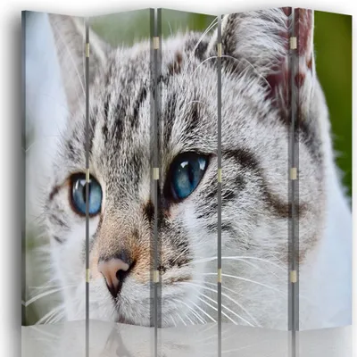 Produktbild von Paravent - Raumteiler Katzenaugen - Dekorativer Raumtrennercm. 180x170 (5 x)