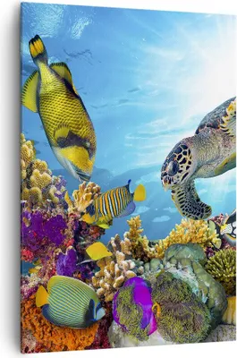 Produktbild von Bild auf Leinwand - Leinwandbild - Einteilig - Riff Koralle Fisch - 70x100cm - Wand Bild - Wanddeko - Wandbilder - Leinwanddruck - Wanddekoration - Leinwand bilder - Wandbild - PA70x100-3704