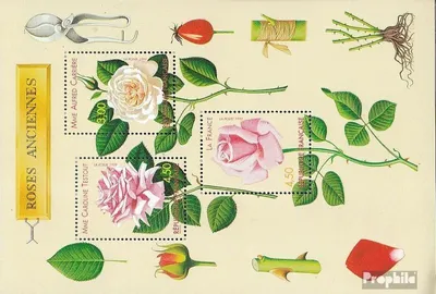 Produktbild von Briefmarken Frankreich 1999 Mi Block21 (kompl.Ausg.) postfrisch Rosezüchtungen