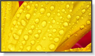 Produktbild von Nec Me431 42´´ 4k Led Monitor Gelb One Size / EU Plug Gelb One Size