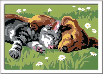 Produktbild von Ravensburger CreArt Sleeping Cats and Dogs, Farben enthalten, Junge/Mädchen, Malen nach Zahlen Set