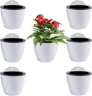 Produktbild von Selbstwassende Wandpflanzentöpfe 7er Pack Mittel 13 cm mit Haken | Außenwände für Pflanzen | Wandpflanzentöpfe | Wandhängende Blumenvasen | Weiße Wandmontierte Pflanzentöpfe PL34.