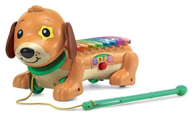 Obrázek produktu pro VTech Baby 80-571005, 1,5 rok/roky, AA, 480 g, Vícebarevný
