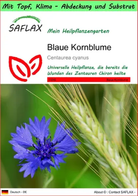 Produktbild von SAFLAX Garden to go - Blaue Kornblume - Centaurea cyanus - 27000 Samen - Mit Topf, Klima - Deckel und Anzuchtsubstrat