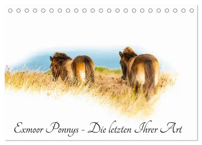 Produktbild von Exmoor Ponnys - Die letzten Ihrer Art (Tischkalender 2027 DIN A5 quer), CALVENDO Monatskalender
