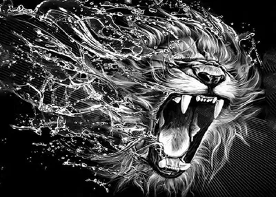Obrázok produktu pre NORIMPEX Diamantová maľba Roar of the Beast 30x40cm