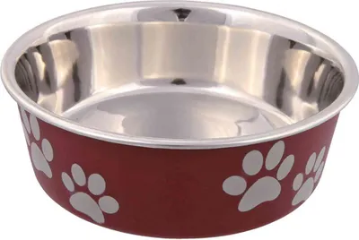 Produktbild von TRIXIE 25243, Katze, Kunststoff, Edelstahl, Braun, Edelstahl, Abbildung, 0,8 l, 17 cm