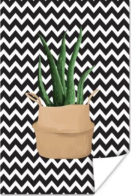 Produktbild von MuchoWow® Poster Zimmerpflanzen - Aloe Vera - Blumentopf 80x120 cm - Papierdruck