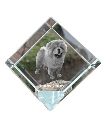 Imagen del producto de Chow Chow cubo de cristal con perro Art-Dog