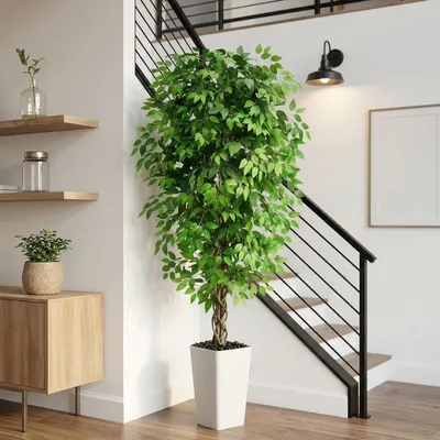 Image de Ficus artificiel, grande plante d'intérieur artificielle avec pot blanc, ficus artificiel luxuriant pour le salon, la chambre à coucher et l'extérieur (1, blanc, 180 cm)