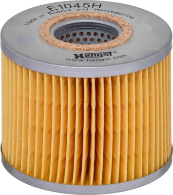 Immagine prodotto di HENGST FILTER Filtro olio Articolo: E1045H D599