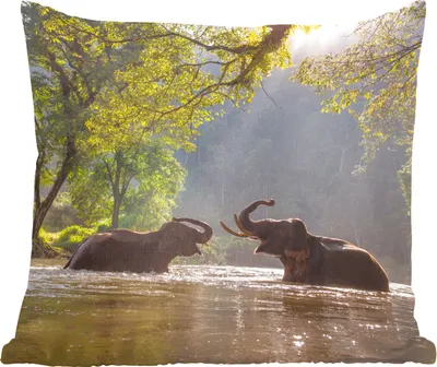 Produktbild von MuchoWow® Zierkissen Sofakissen Wohnzimmer Dekokissen 45x45 cm Elefant - Wasser - Tiere - Bäume - Sonne - Schlafpolster - Polster für das Sofa
