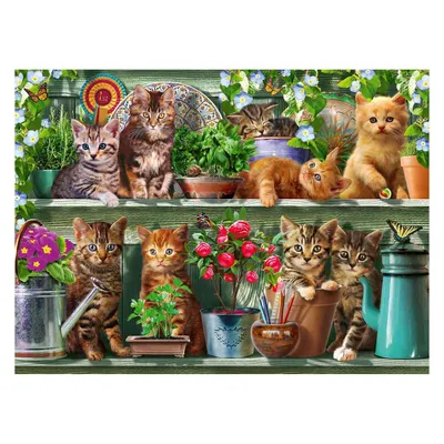 Obrázok produktu pre Ravensburger Puzzle - Mačky na poličke, 500 dielikov