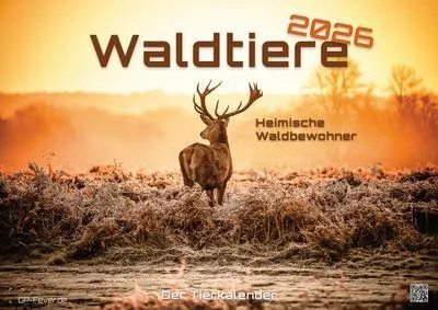 Produktbild von Waldtiere - Heimische Waldbewohner - Der Tierkalender - 2026