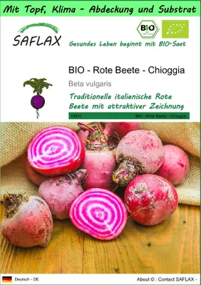 Produktbild von SAFLAX Garden to go - BIO - Rote Beete - Chioggia - Beta vulgaris - 70 Samen - Mit Topf, Klima - Deckel und Anzuchtsubstrat