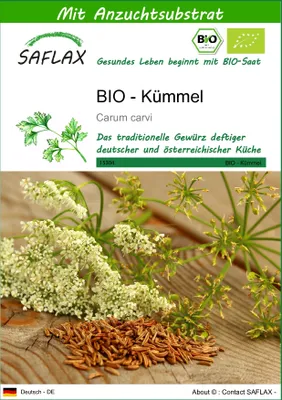 Produktbild von SAFLAX - BIO - Kümmel - Carum carvi - 800 Samen - Mit keimfreiem Anzuchtsubstrat