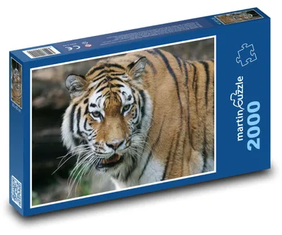 Obrázok produktu pre Puzzle 2000 Neskrotený tiger - martinpuzzle