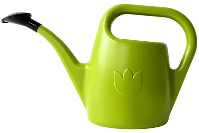 Gießkanne mit Brause, 2 l, hellgrün, Kunststoff