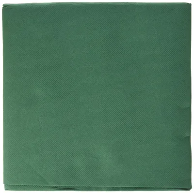 Immagine prodotto di Alvotex SOFT POINT, tovaglioli 38x38 cm, confezione da 50, colore verde (302)