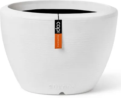Produktbild von Capi Europe  - 156x90 -
