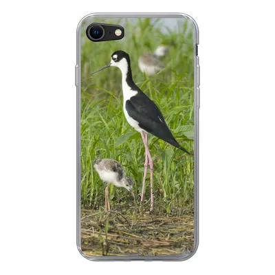 Produktbild von MuchoWow® Handyhülle Schutzhülle Hülle für iPhone SE 2020 Vogel - Gras - Küken - Sumpf Silikon Softcase Handy Hülle - Kartenbesitzer