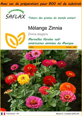 Image de SAFLAX Garden in the bag - Mélange Zinnia - 50 graines - Zinnia