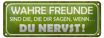 Produktbild von Blechschild Spruch 27x10cm wahre Freunde sagen du nervst Dekoration