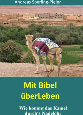 Produktbild von Mit Bibel überLeben