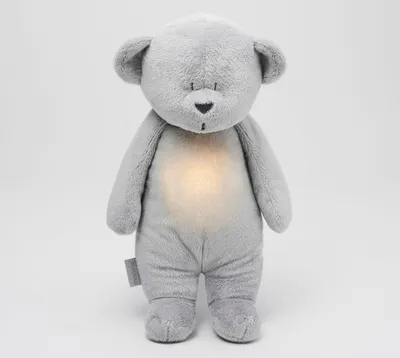 Zdjęcie produktu dla Moonie Bear 2.0 Silver