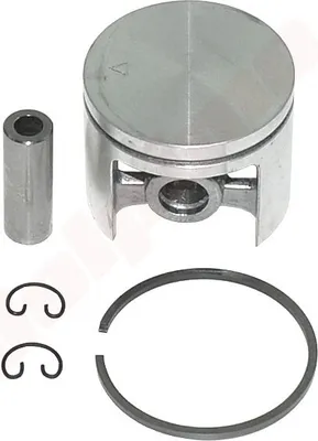 Zdjęcie produktu dla Tłok Alpina, Castor 450 42Mm ( 8540860 )